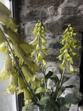 X3 Beautiful XL Size Large