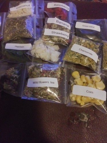 Land hermit crab food treat - crab, food/treat'