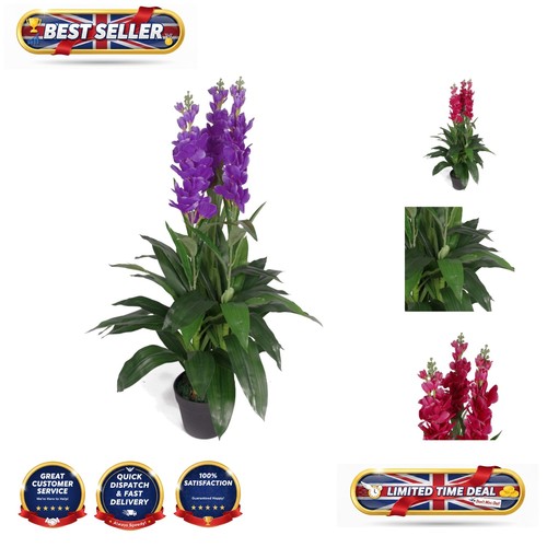 Elegant 100cm purple - 100cm,
