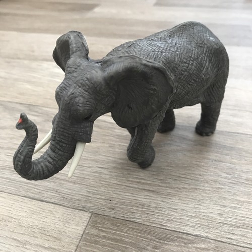 Elc aaa grey african - aaa,