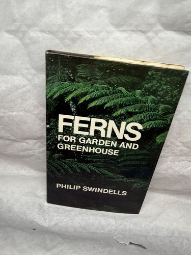 Ferns for garden - ferns,