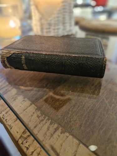 Bible with guilded gold - gold, edges
