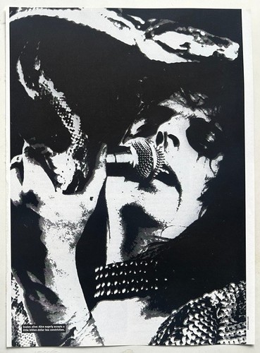 Alice cooper 2004 - ~, full