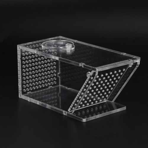 Fish trap catcher box - trap,