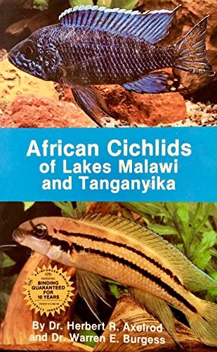 African cichlids lakes - of,