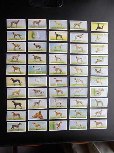 Cigarette cards churchman - cigarette,