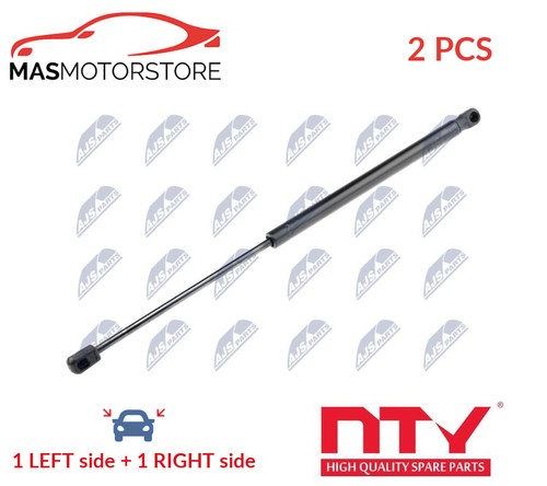 Tailgate boot struts set - boot, nty