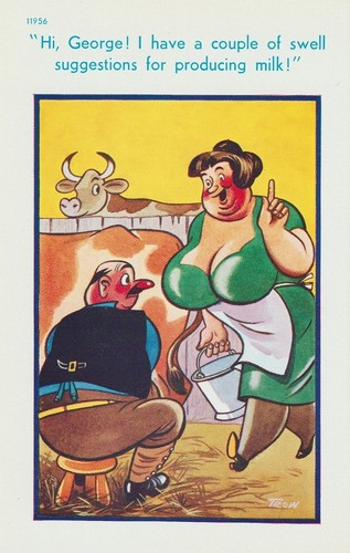 Vintage saucy seaside postcard - saucy,