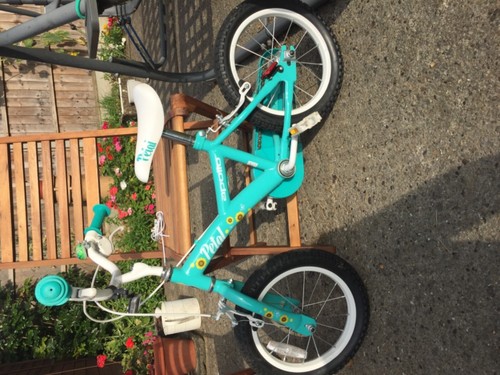 Apollo petal girls bike - , 14
