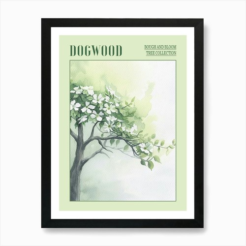 Dogwood tree atmospheric - tree,