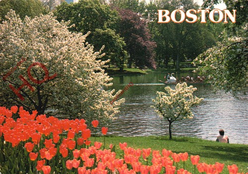 Picture postcard boston - picture,