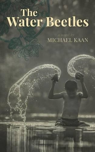 Michael kaan the water - water, beetles