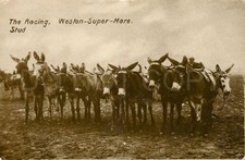 Weston-Super-Mare RPPC Vintage