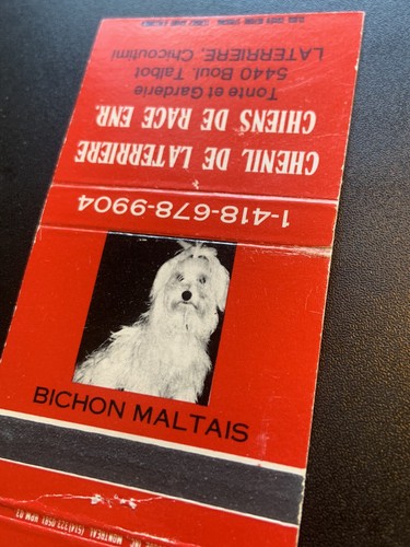 Vintage cute dog - cute,