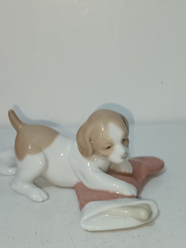2002 nao liadro puppy - nao,