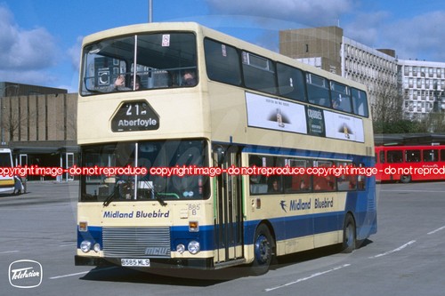 Bus photo midland bluebird - bus,