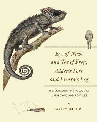 Eye newt and - of, of