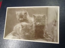 Postcard of "Kittens"  (1922