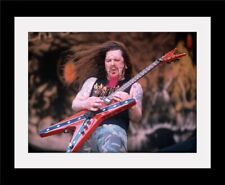 PANTERA Dimebag Heavy Metal Rock Vintage style  Poster Mounted Framed  FREE POST