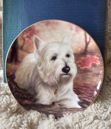 Danbury mint collectors plate - mint,
