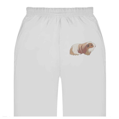 Guinea pig pet adult - pet,
