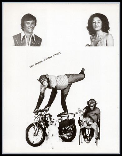 1970s erik adams comedy - erik,