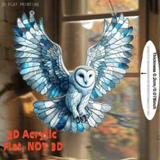 Flying White Barn Owl Bird in