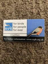 Rspb  Pin Badge Bullfinch