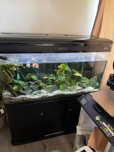 Boyu 300l aquarium - boyu,