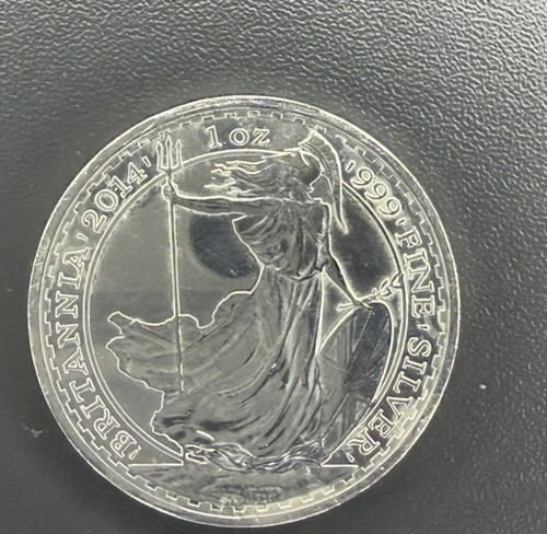 2014 britannia horse - horse, privy