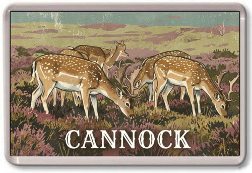 Fridge magnet cannock chase - fridge,