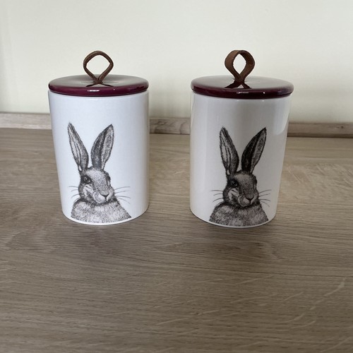 Hare ceramic pots - pots, x