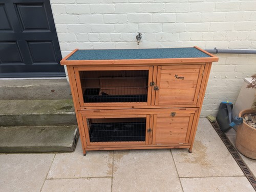 Two tier wooden guinea - wooden,
