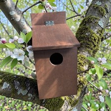 Nest Box For Starlings, They