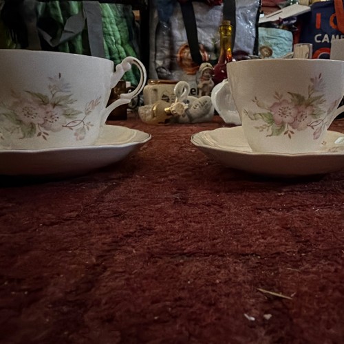 Argyle bone china floral - floral, tea