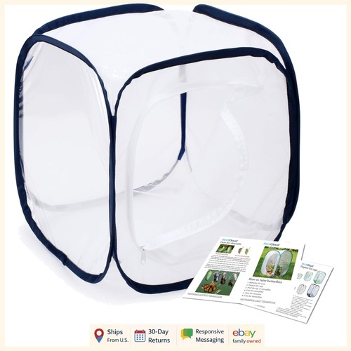 Collapsible butterfly - collapsible,