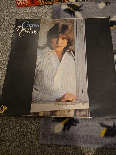 David cassidy cherish vintage - david,