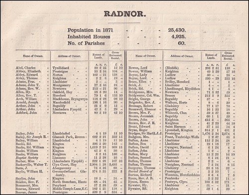 1873 radnorshire the names - 1873.,