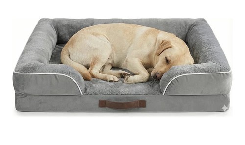 Codi large orthopedic - large,