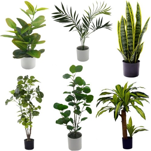 Artificial house plant pot - artificial, in
