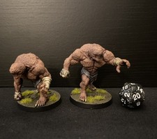 Dungeons And Dragons Brain