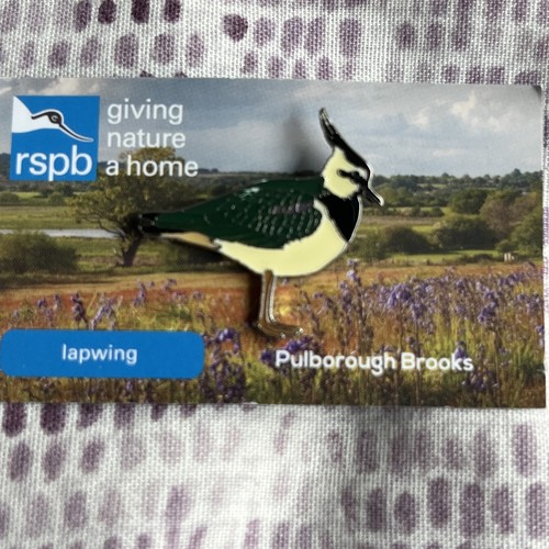 Rspb pulborough brooks lapwing - pulborough,