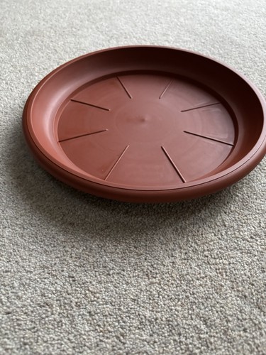 Pack plastic plant - pack,