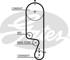 WATER PUMP & TIMING BELT KIT