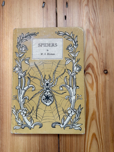 Spiders king penguin - penguin, book