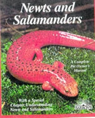 Newts and salamanders - newts,