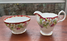 Queen Anne Narcissus fine bone