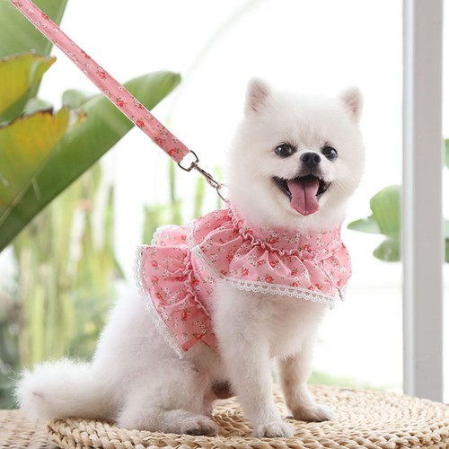 Floral dog harness leash - harness, set