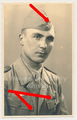 128651 portrait photo - photo, dak