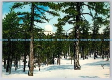 D324810 Mount Olympus Troodos. Cyprus. Post Card Colourful Cyprus. Takis Mourett